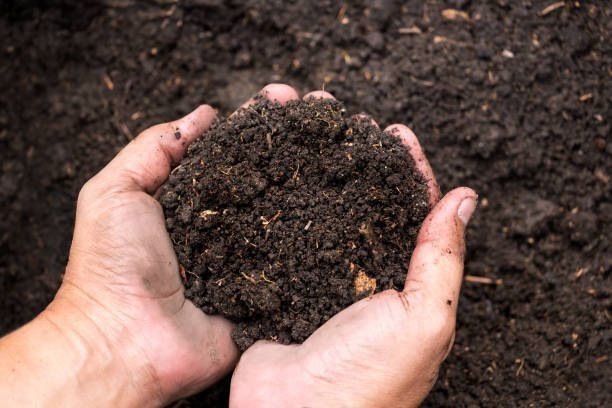 Understanding Your Soil Type: The Jar Test and Beyond